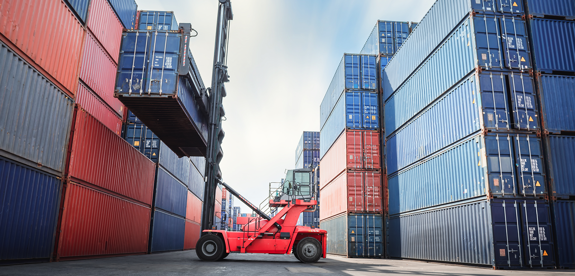 hamriyah free zone company formation